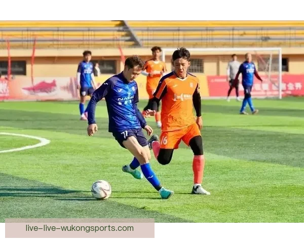 聚焦足球低级别联赛直播：带你走进草根赛事的激情与挑战